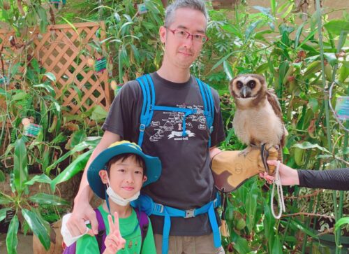 神戸動物王国,ふくろう,神戸,動物園,機能不全家族,アダルトチルドレン